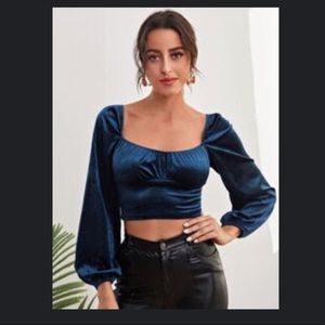 Cropped Lantern Sleeve Velvet Top